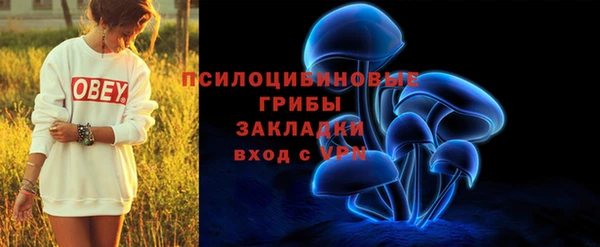 МДПВ Верхний Тагил