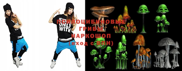 шишки Верея
