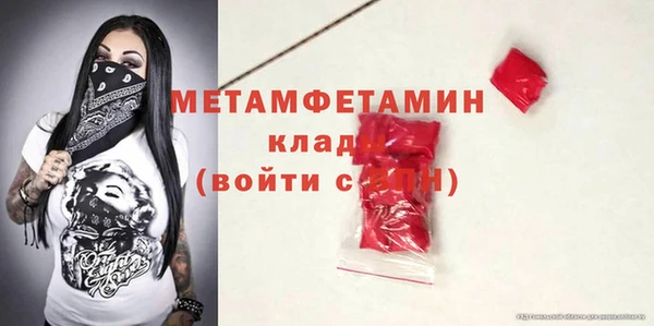 шишки Верея