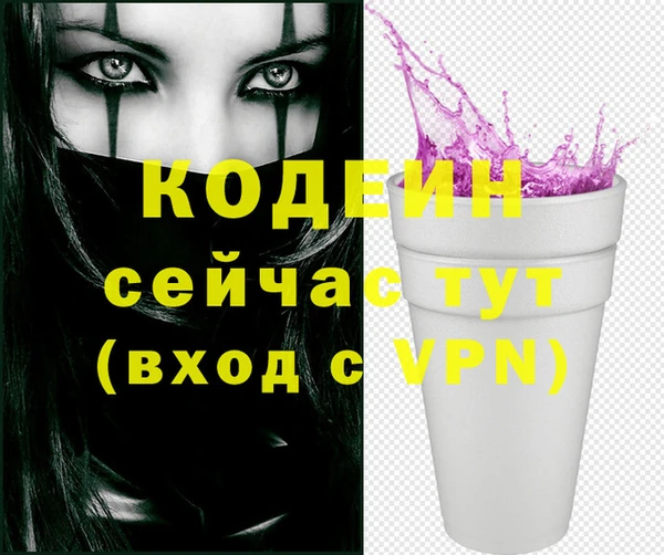 шишки Верея
