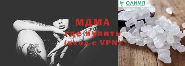 шишки Верея