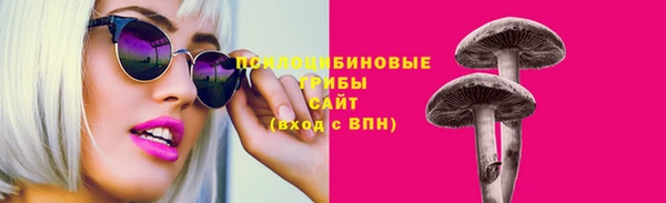 шишки Верея