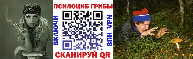 Купить где  Слюдянка  Псилоцибиновые грибы Magic Shrooms 